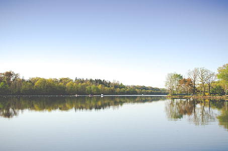 landscape photo of lake and forest thumbnail