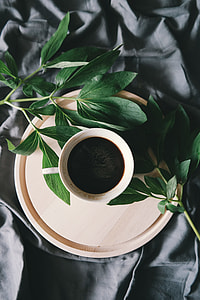filled white cup on top of beige saucer near green leaves thumbnail
