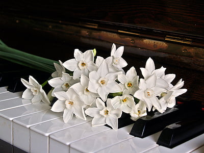 white flowers thumbnail