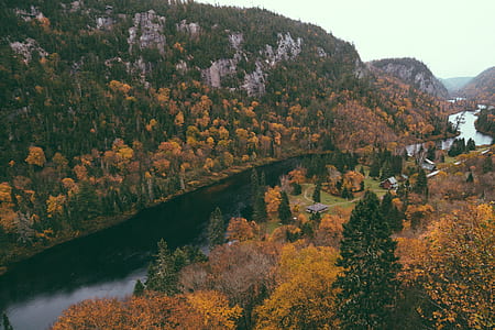 river between trees thumbnail