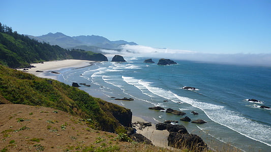 mountain covered with trees near shore at daytime thumbnail