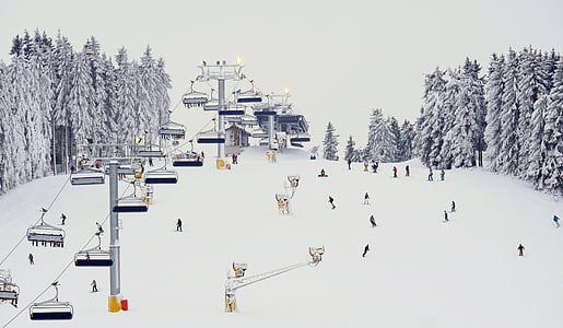people skiing on snow thumbnail