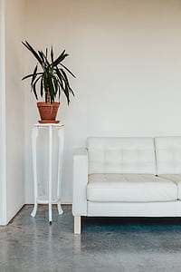 tufted white suede sofa thumbnail