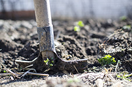 shovel on land thumbnail