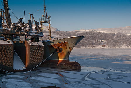 brown boat near snow covered trees thumbnail