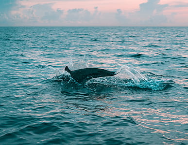 sea, water, clouds, ocean thumbnail
