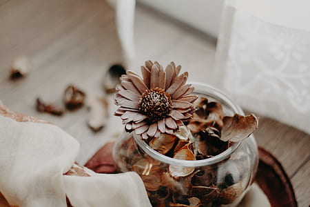 closeup photo of dried flowers on bowl thumbnail