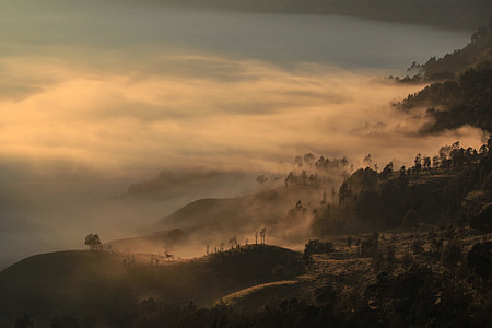 foggy mountain thumbnail