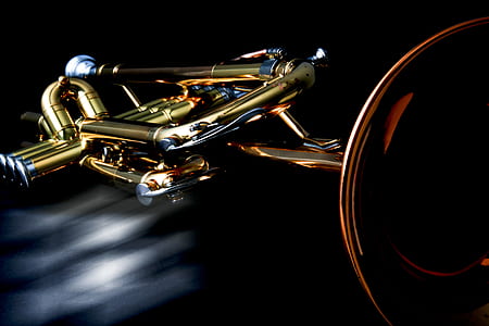 low-light closeup photo of brass-colored trumpet thumbnail