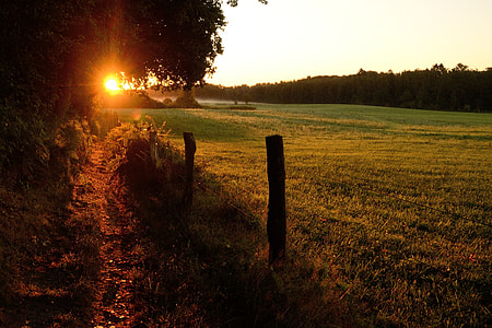 Duvenstedter Brook, Sunrise thumbnail