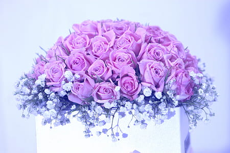 pink rose flowers and baby's breath flowers bouquet in white vase thumbnail