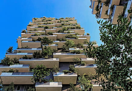 worm'e eyeview photo of two high-rise buildings with plants on terraces thumbnail