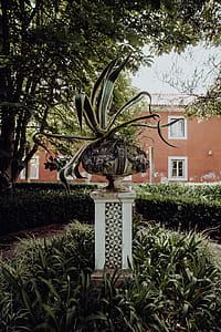 Tropical Botanical Garden in Belem, Lisbon, Portugal thumbnail