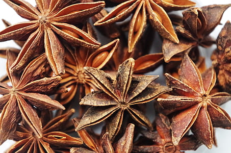 macro photography of star anise lot thumbnail
