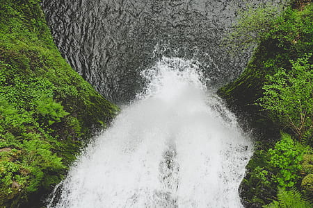 waterfall between of forest trees thumbnail