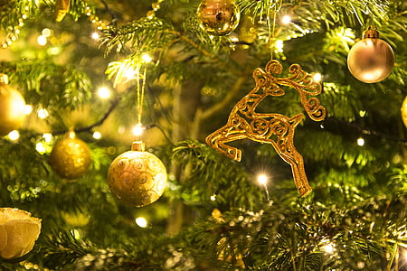 gold-colored Christmas baubles and string lights thumbnail