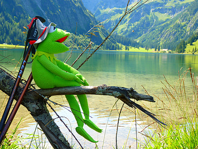 Kermit the Frog on tree branch thumbnail