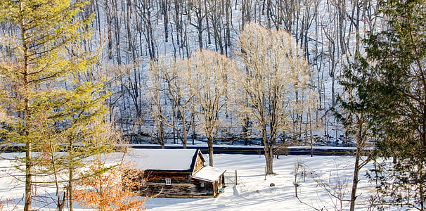 brown cabin in the woods covered in snow thumbnail