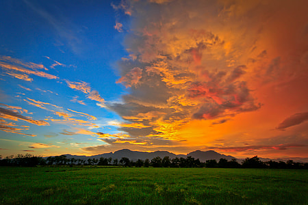 silhouette of trees and green grass at golden hour thumbnail