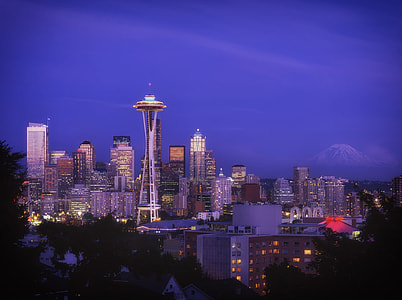 city skyline  under purple sky during nighttime thumbnail