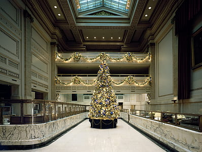 Christmas tree inside a building thumbnail