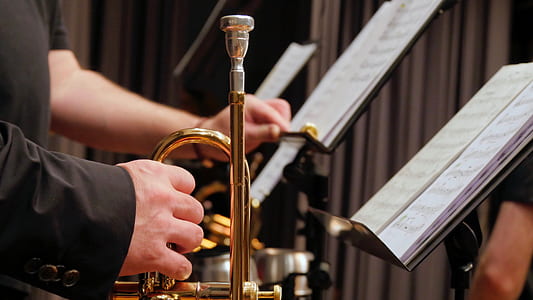 person holding brass trumpet thumbnail