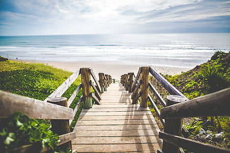 brown wooden bridge near river thumbnail