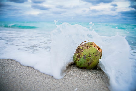 beach wave bounce on green coconut fruit thumbnail