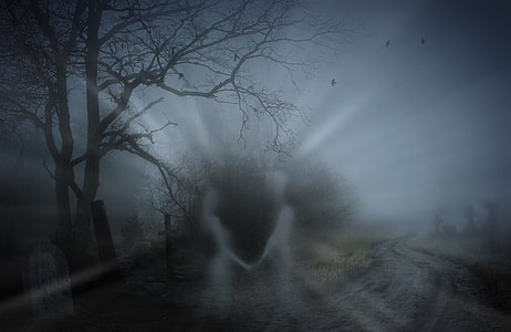 woman and man ghosts on pathway thumbnail