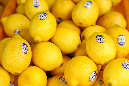 pile of citrus thumbnail