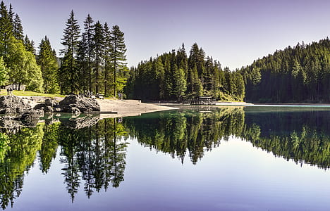 landscape, nature, water, summer thumbnail