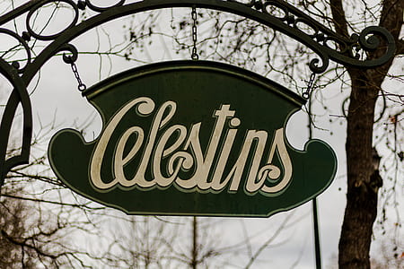 Celestins logo on black metal post thumbnail