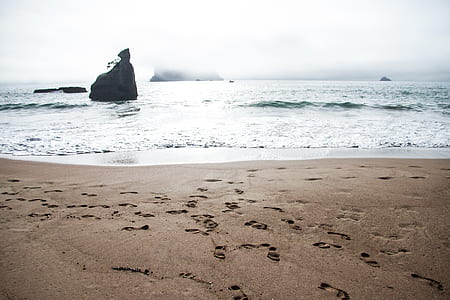 footprints on shoreline beside body of water thumbnail