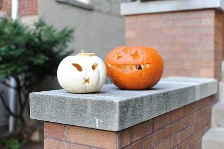 Selective Focus Photo of Pumpkins On Ledge thumbnail