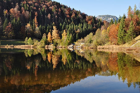 calm body of water surrounded with trees thumbnail