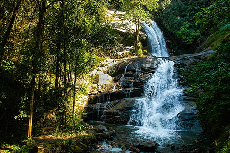 waterfalls between plants and trees thumbnail