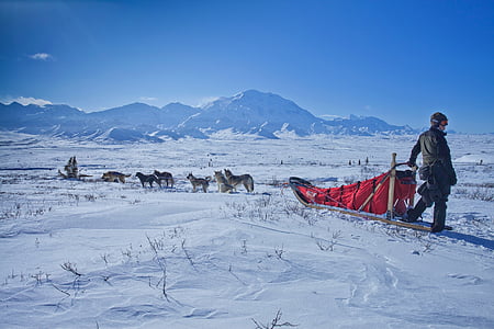 man riding on sled on snowfield thumbnail