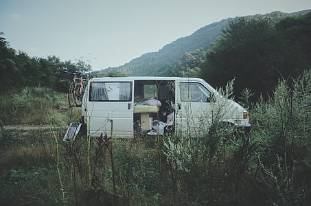 white van on forest thumbnail