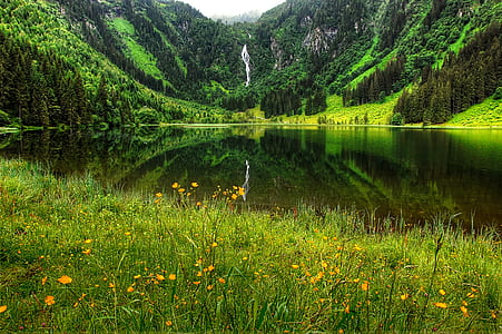 lake placed near green grass field thumbnail