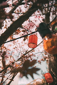 red hanging paper lantern thumbnail