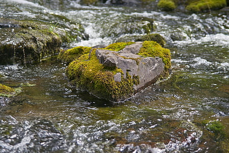 rock on body of water thumbnail