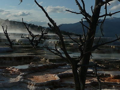 Yellowstone National Park, Wyoming thumbnail