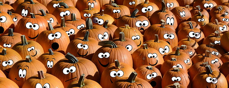 squash lot thumbnail