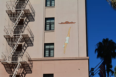 person doing dive wall art thumbnail