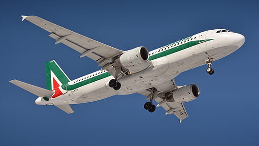 white and green air liner thumbnail