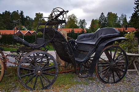 horse carriage parked near body of water thumbnail