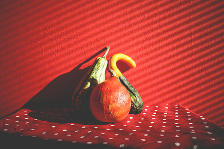 Decorative Pumpkins in Red thumbnail