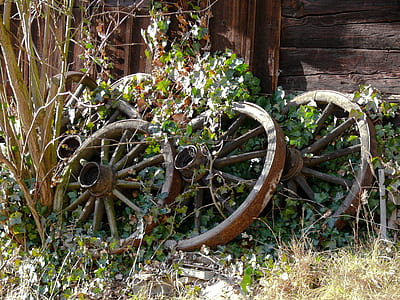 three brown wooden carousel wheels covered with leaves thumbnail