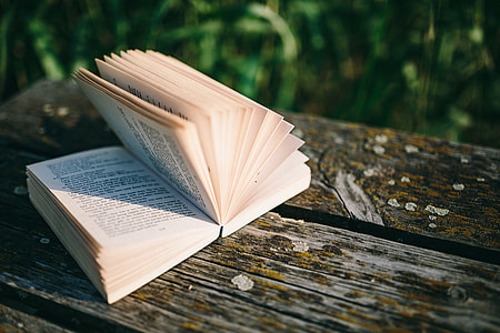 Reading book at lake thumbnail