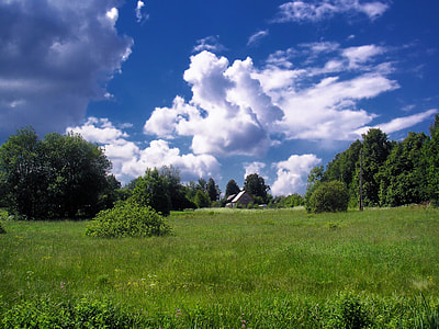 green leaf trees under white clouds at daytime thumbnail